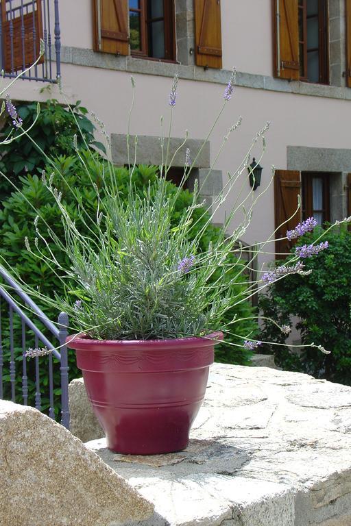 La Sabotiere Vila Pluméliau Exterior foto